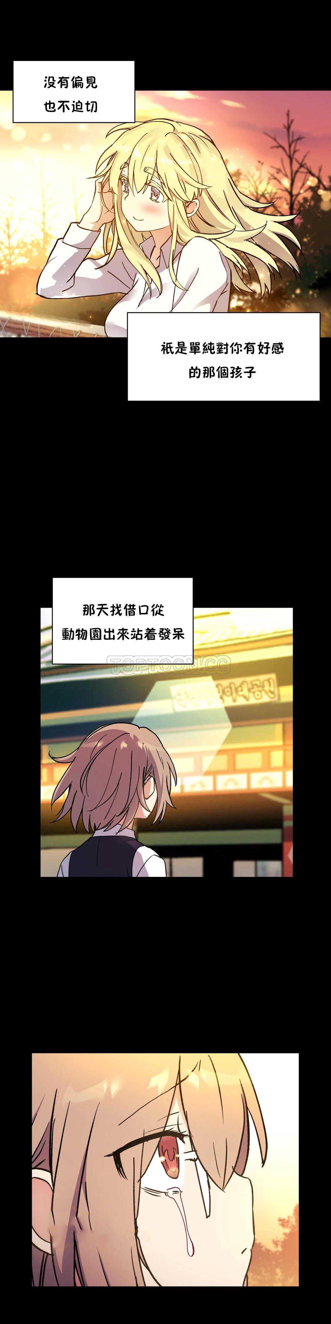 初恋豚鼠