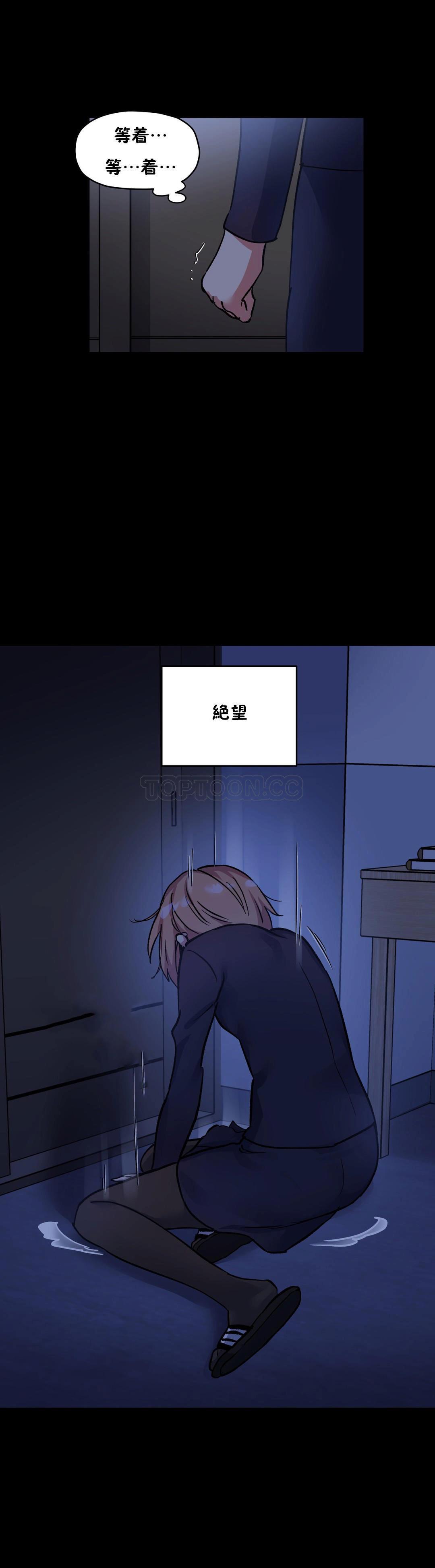 初恋豚鼠