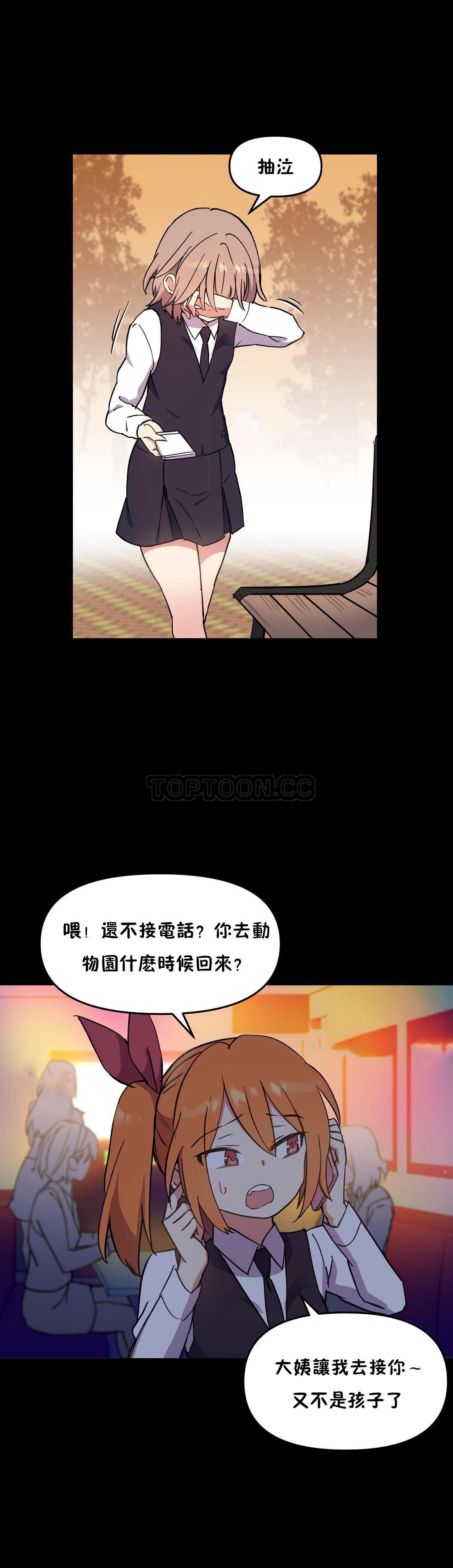 初恋豚鼠
