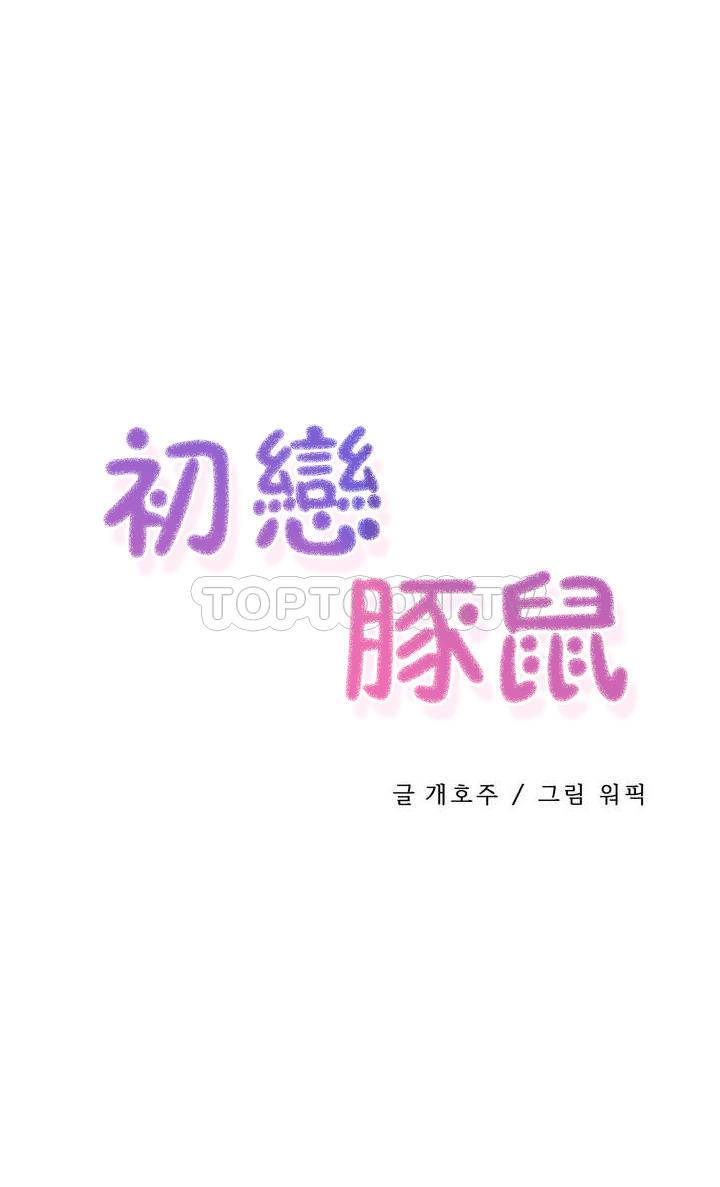初恋豚鼠