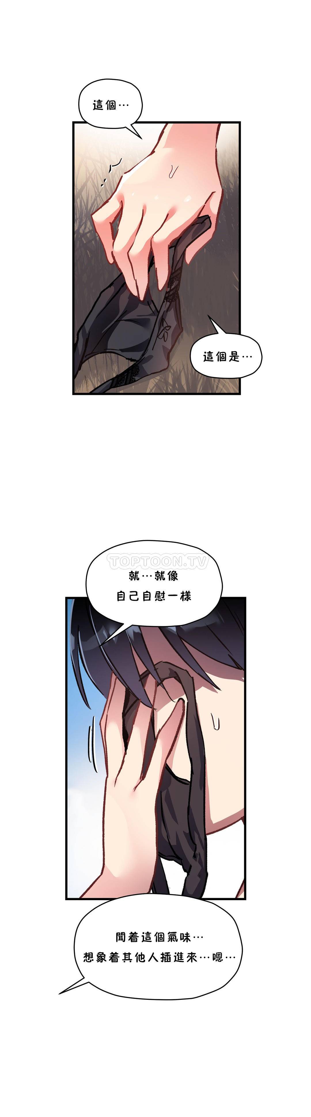 初恋豚鼠