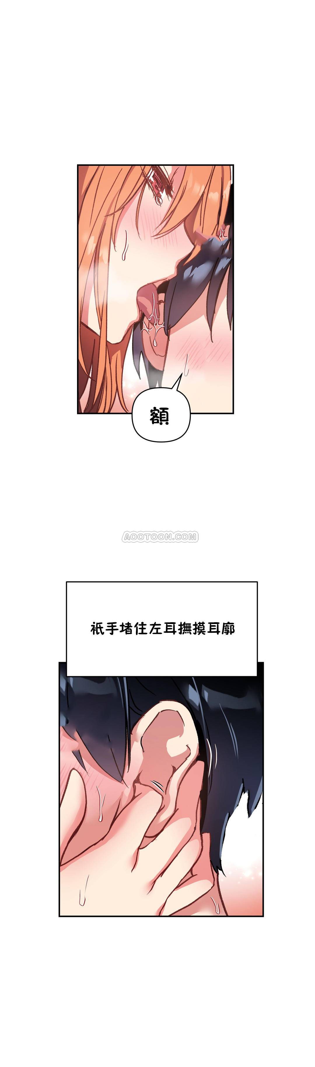 初恋豚鼠