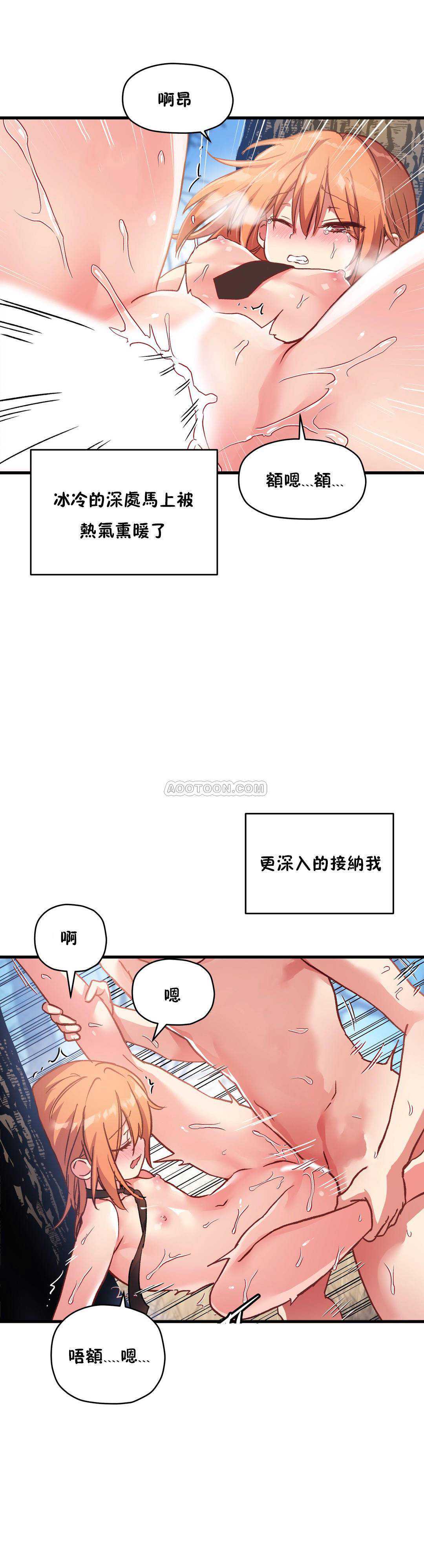 初恋豚鼠