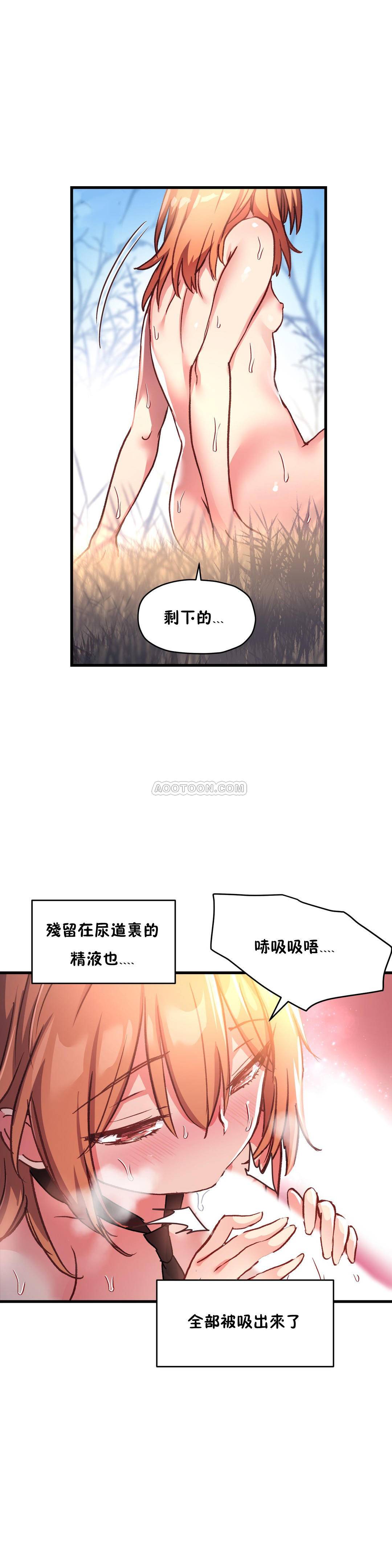 初恋豚鼠