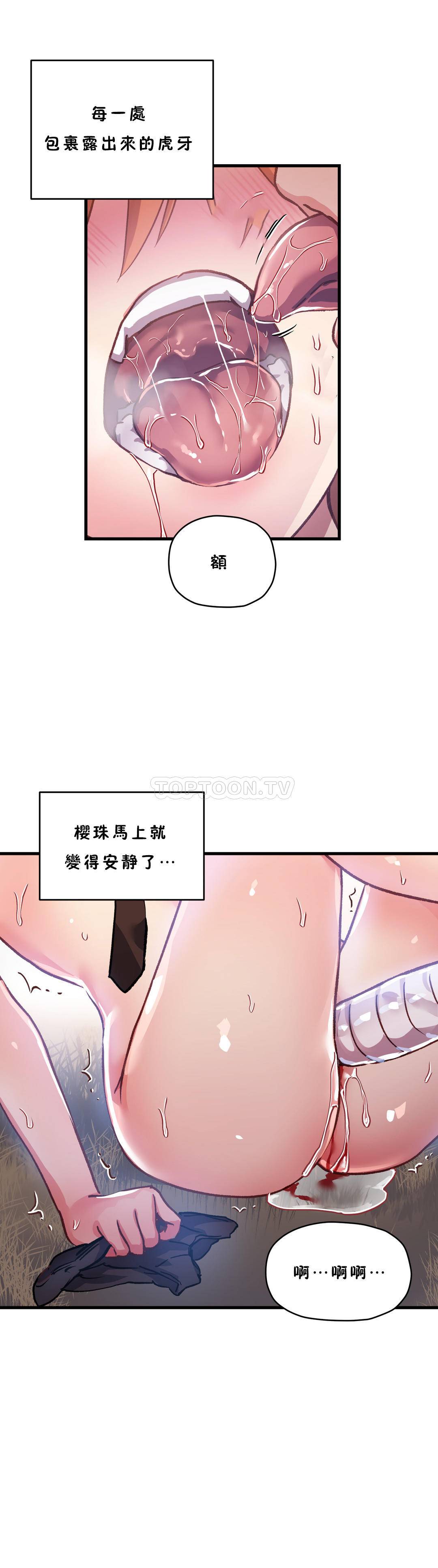初恋豚鼠