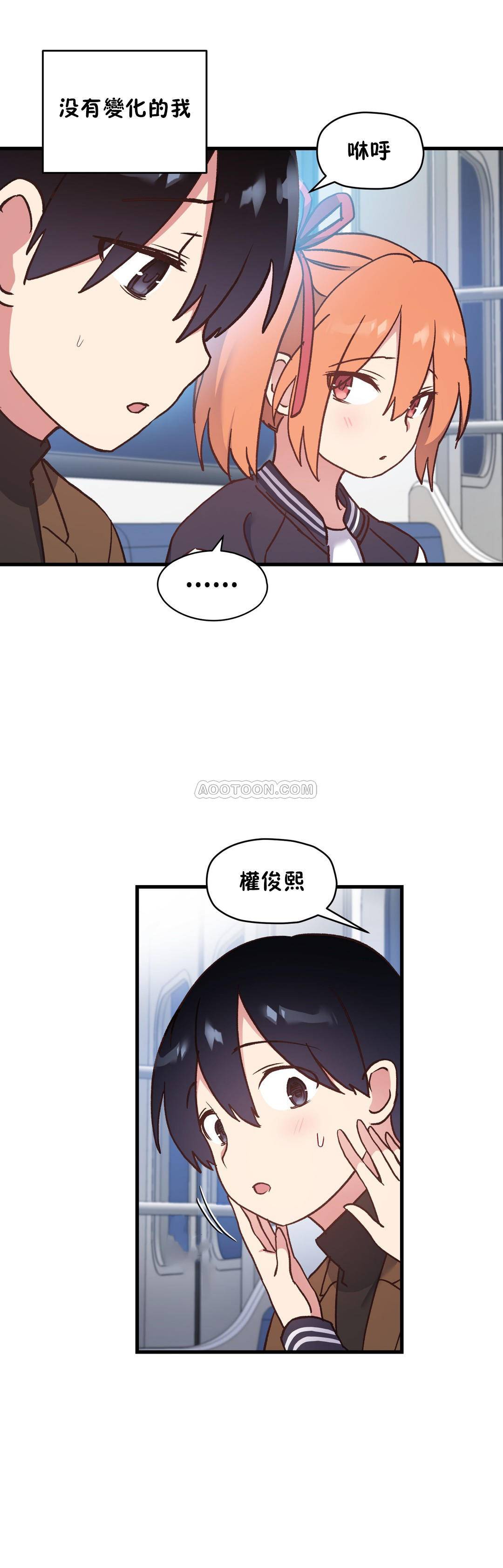 初恋豚鼠