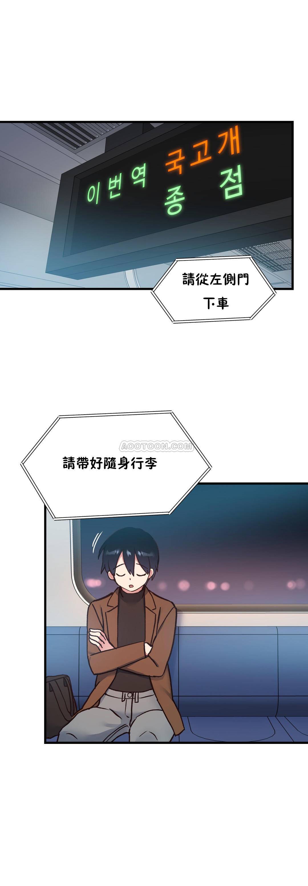 初恋豚鼠