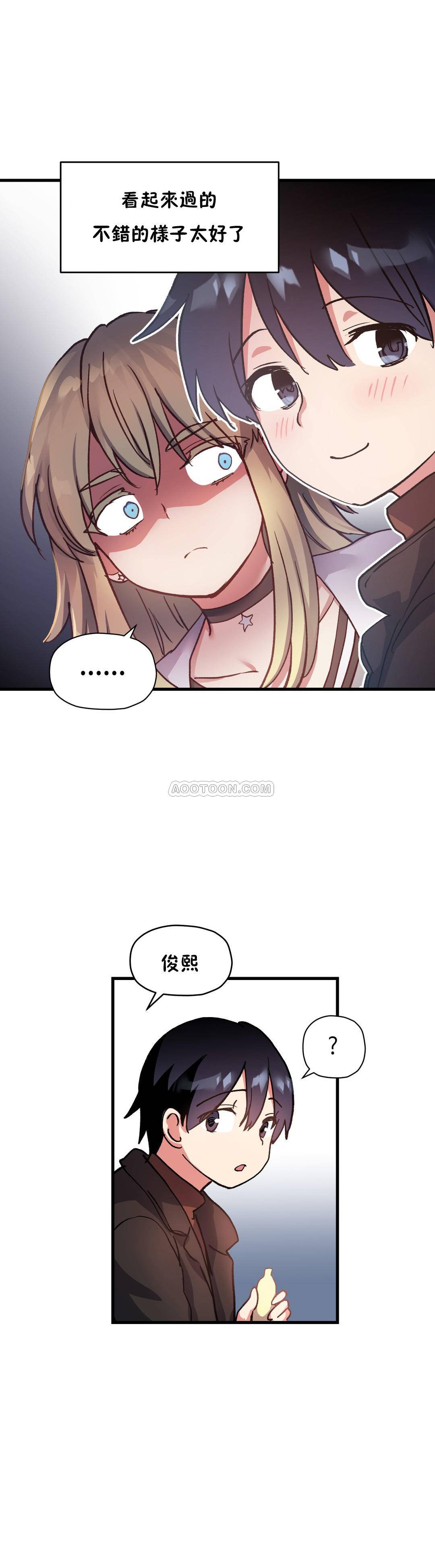 初恋豚鼠
