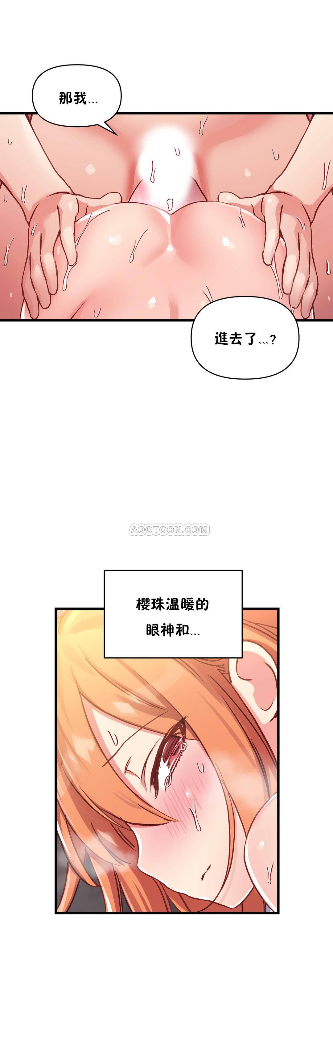 初恋豚鼠
