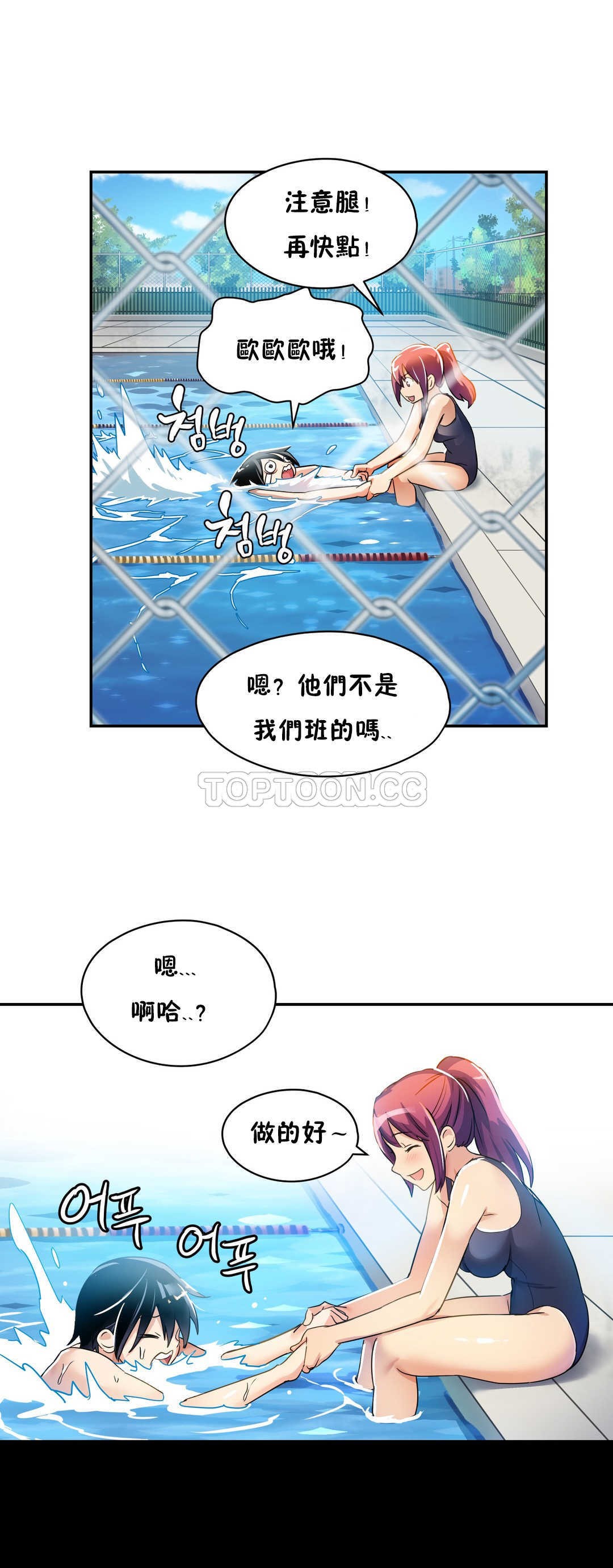 初恋豚鼠