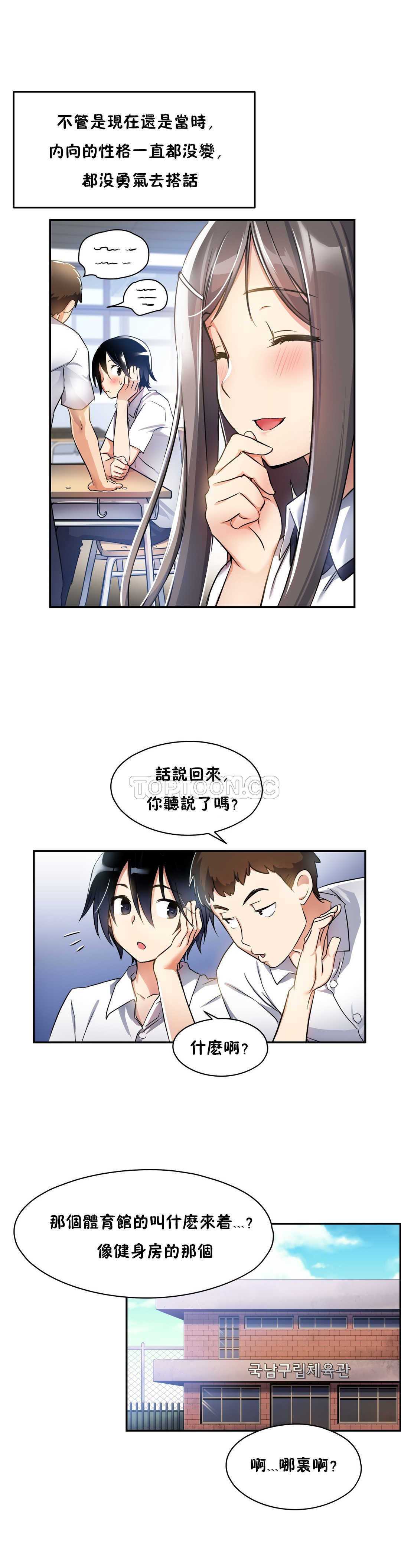 初恋豚鼠