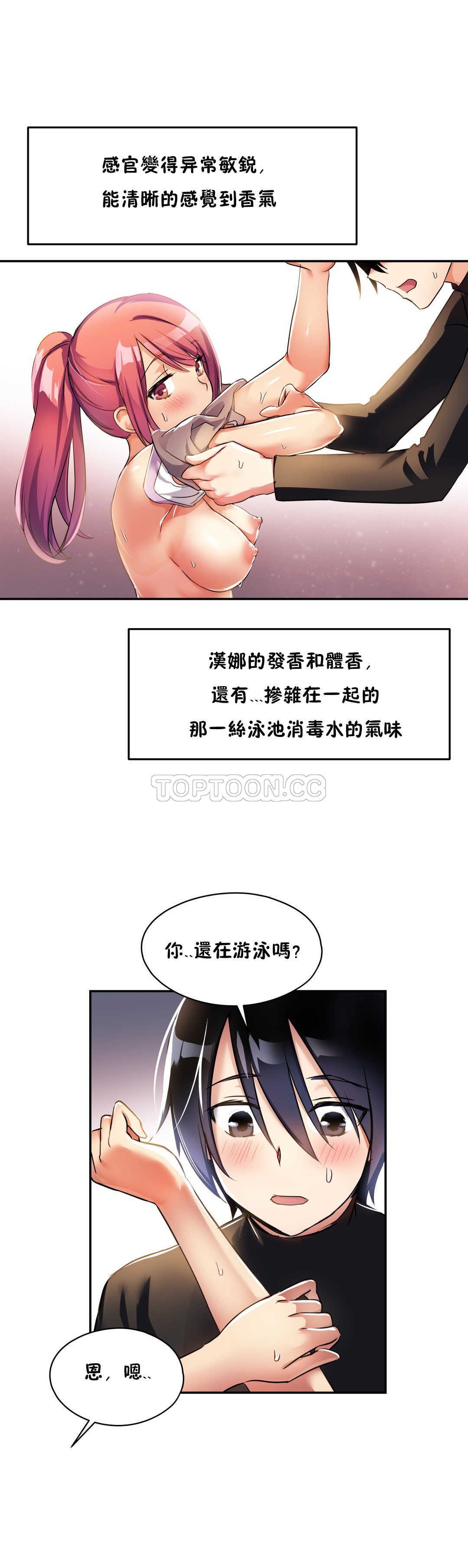 初恋豚鼠