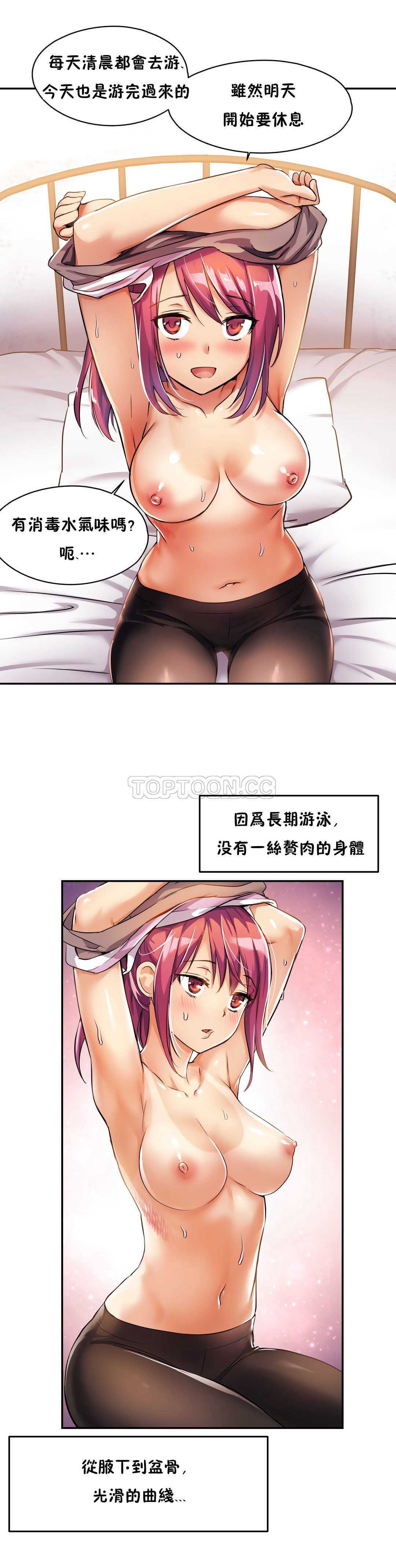 初恋豚鼠
