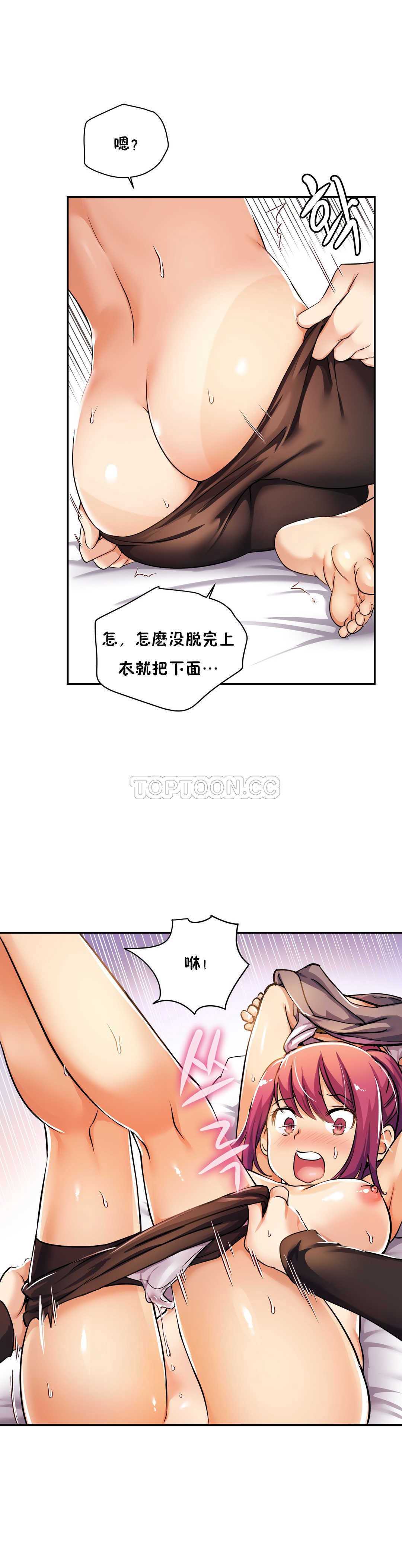 初恋豚鼠