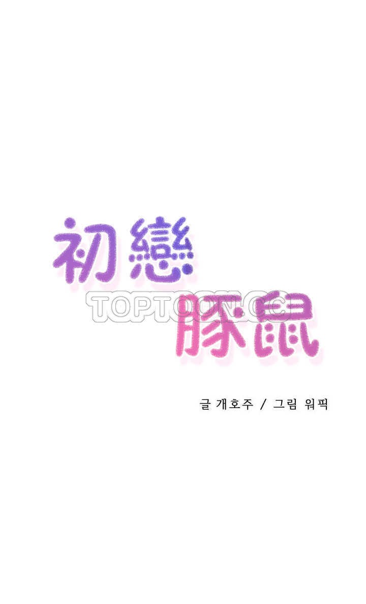 初恋豚鼠