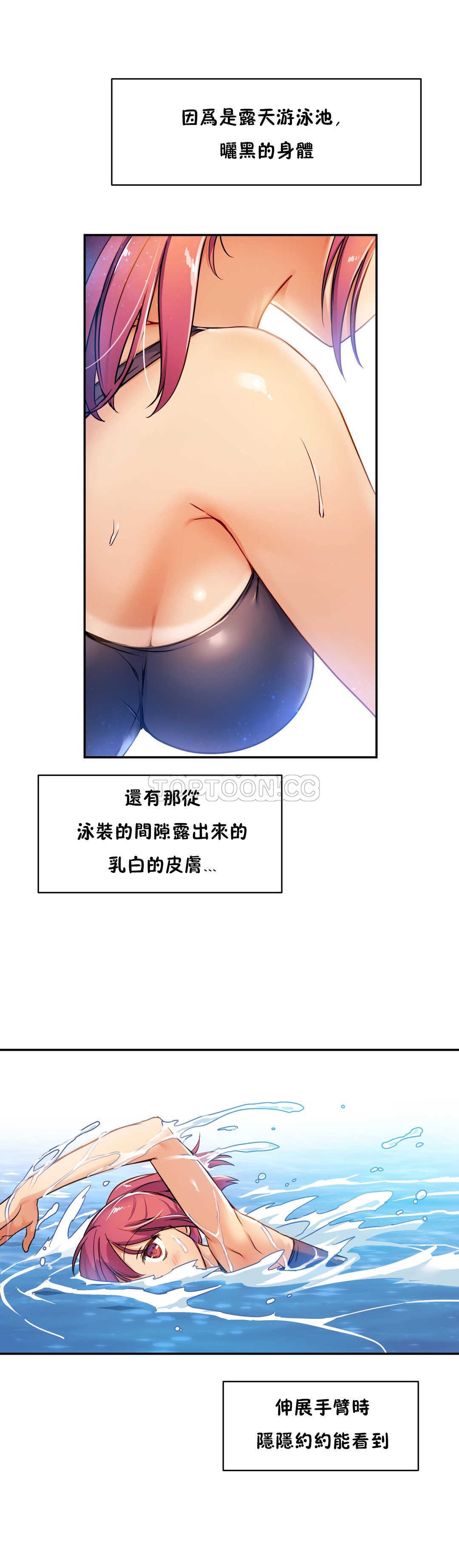 初恋豚鼠
