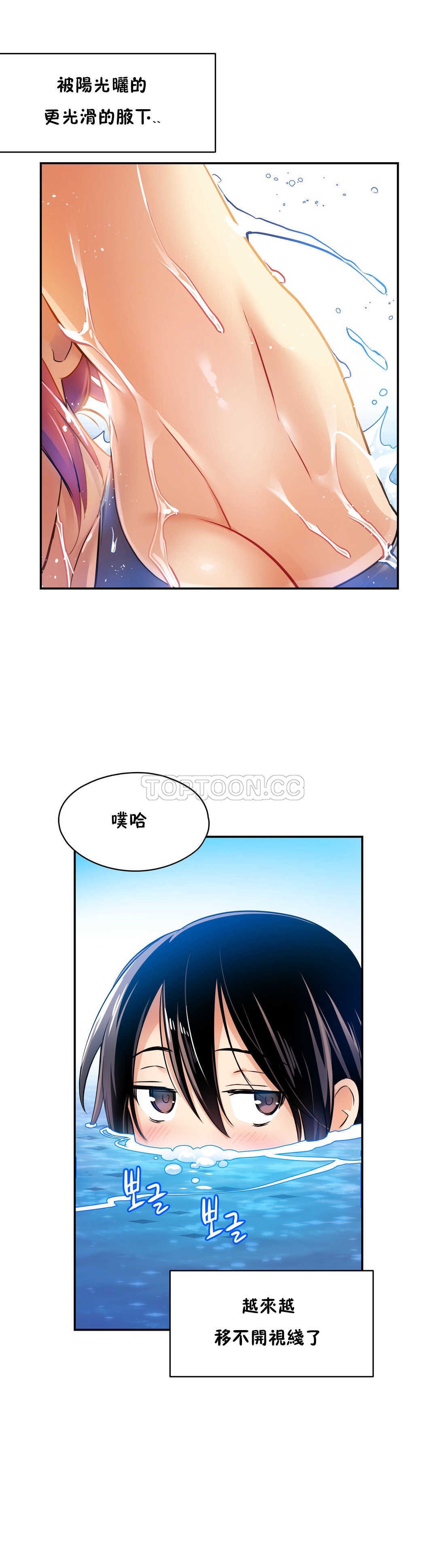 初恋豚鼠