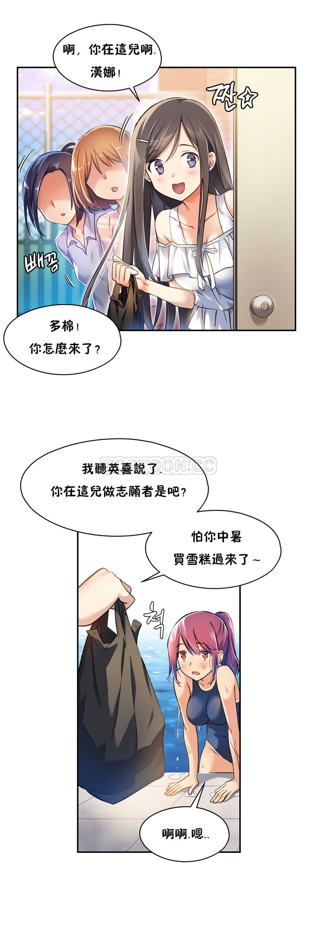 初恋豚鼠