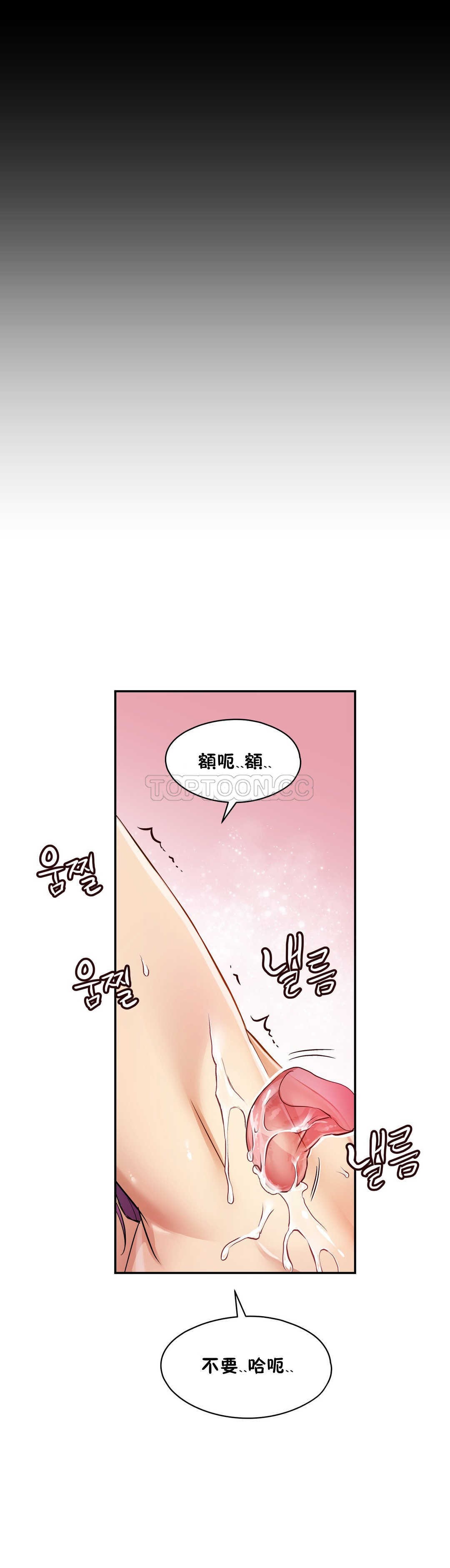 初恋豚鼠