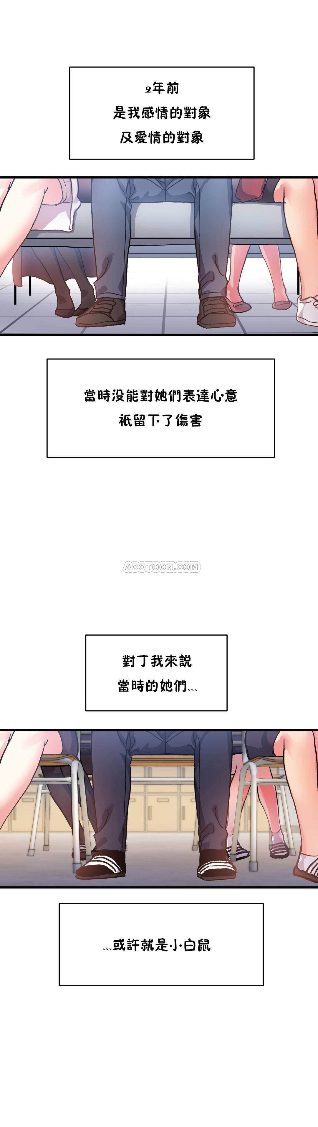 初恋豚鼠