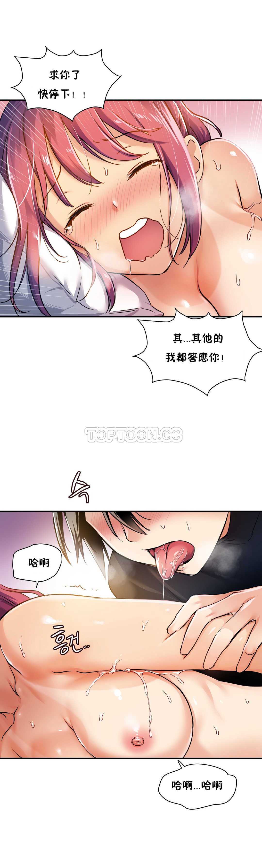 初恋豚鼠