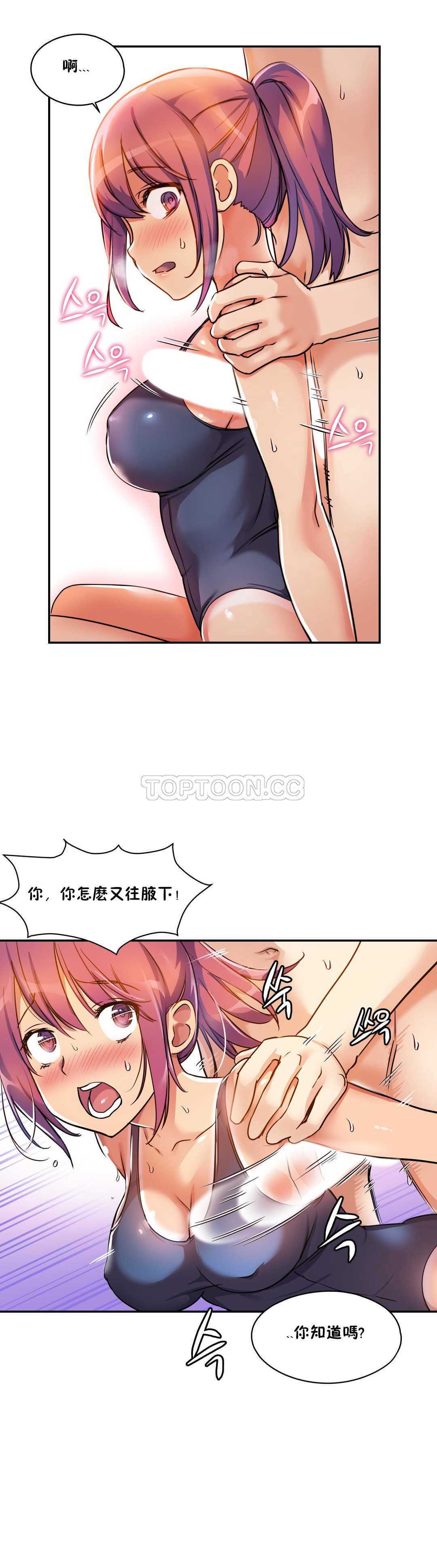 初恋豚鼠