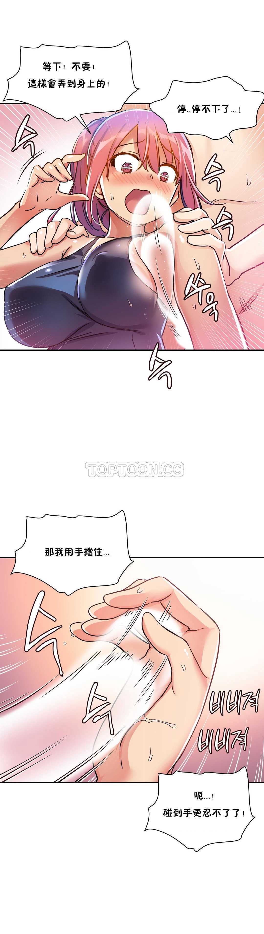 初恋豚鼠