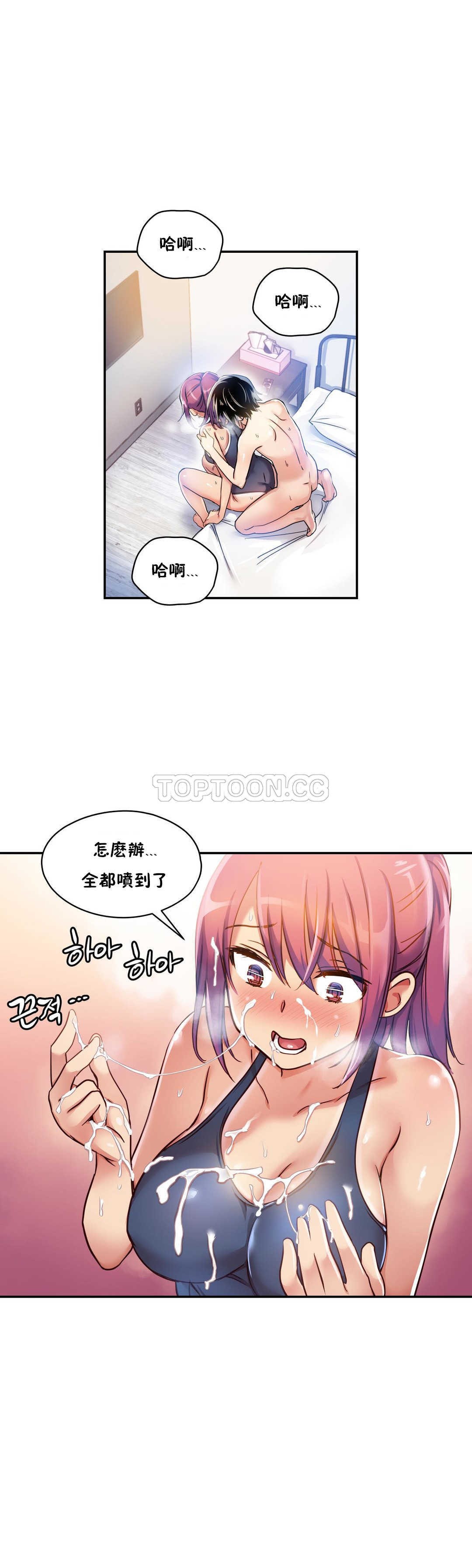 初恋豚鼠