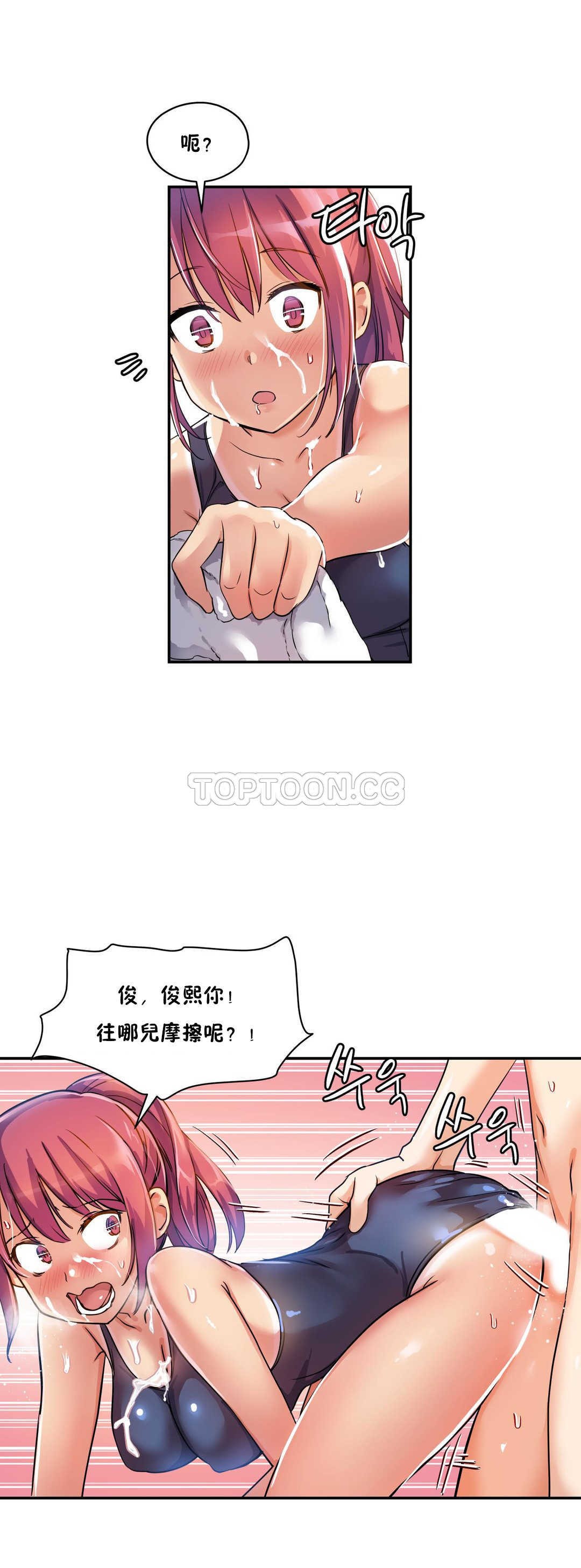 初恋豚鼠