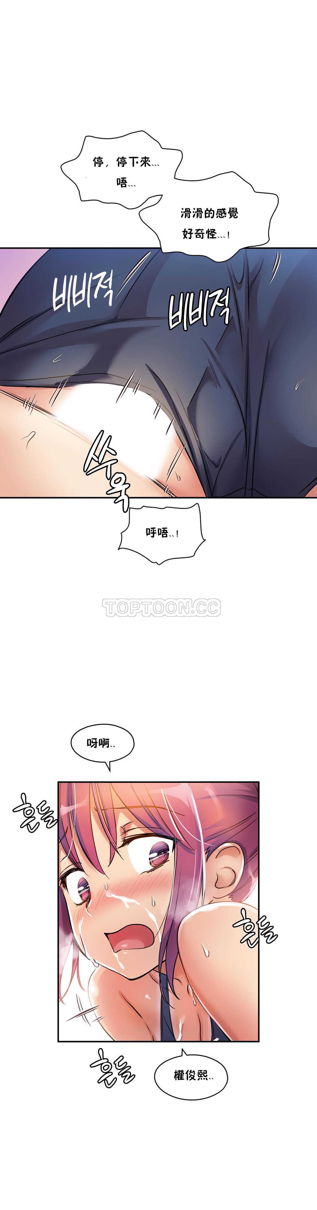 初恋豚鼠