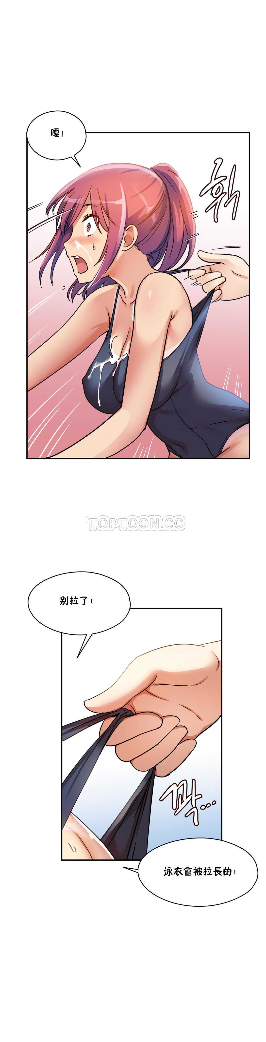 初恋豚鼠