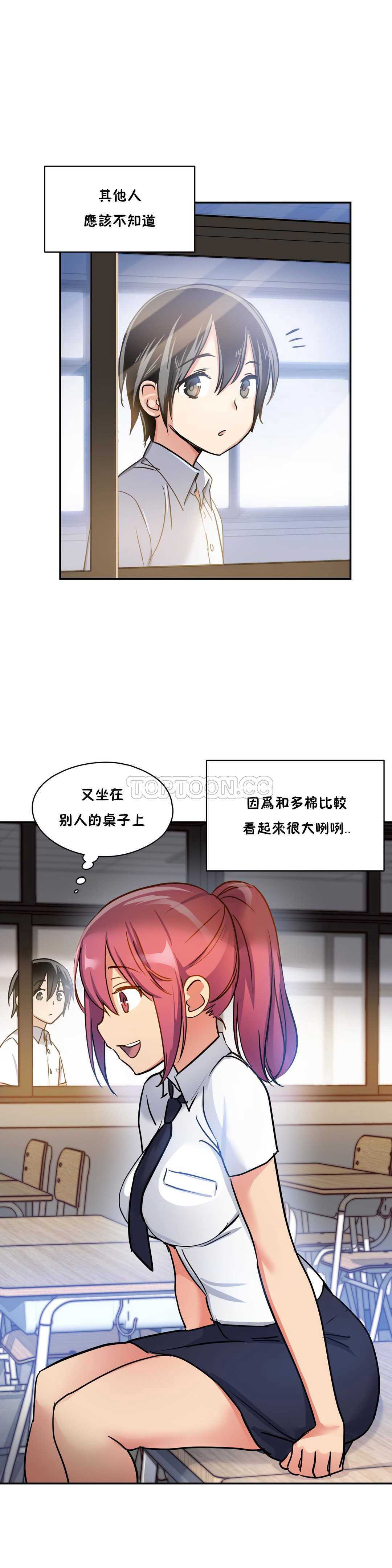 初恋豚鼠