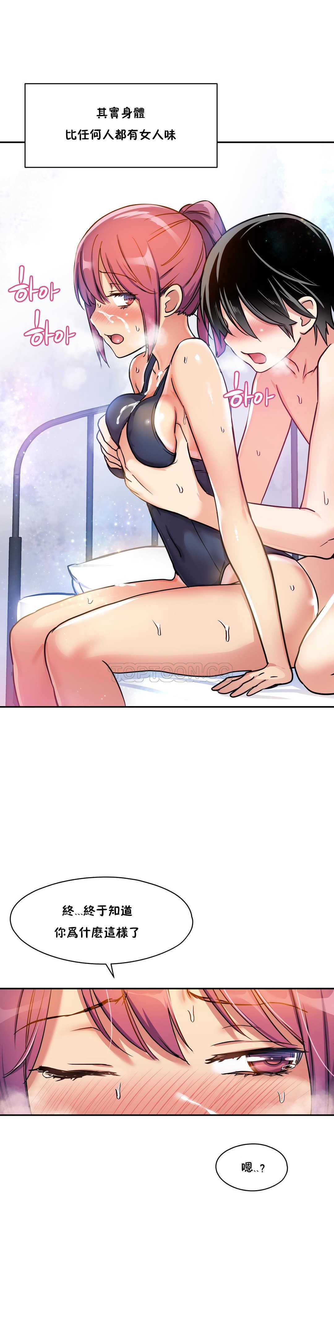 初恋豚鼠