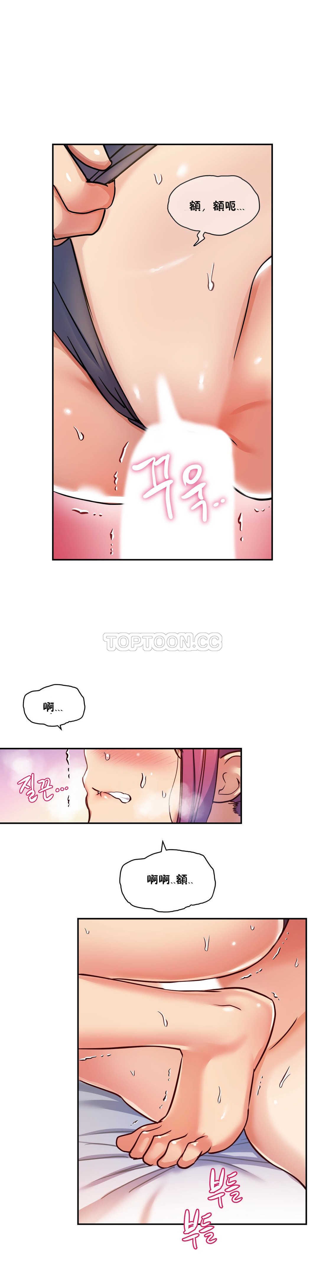 初恋豚鼠