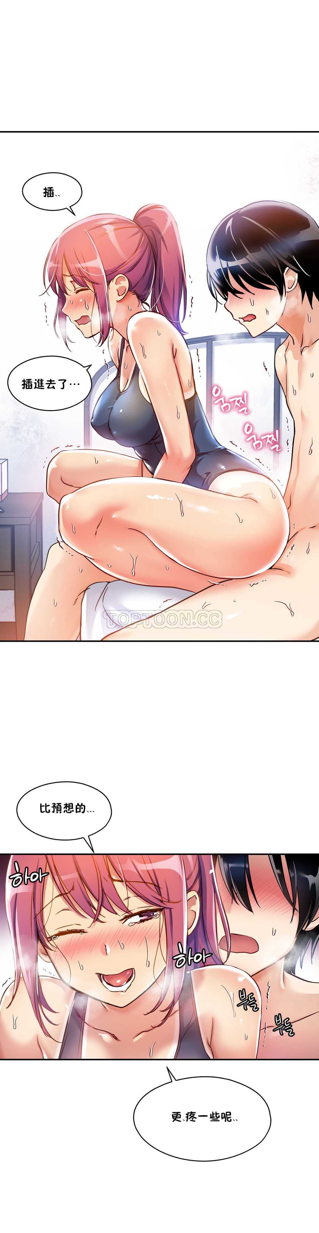 初恋豚鼠