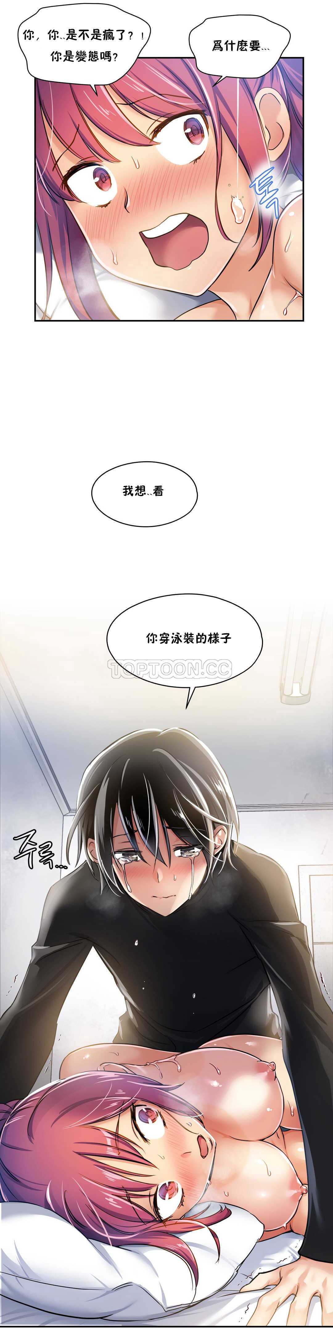初恋豚鼠