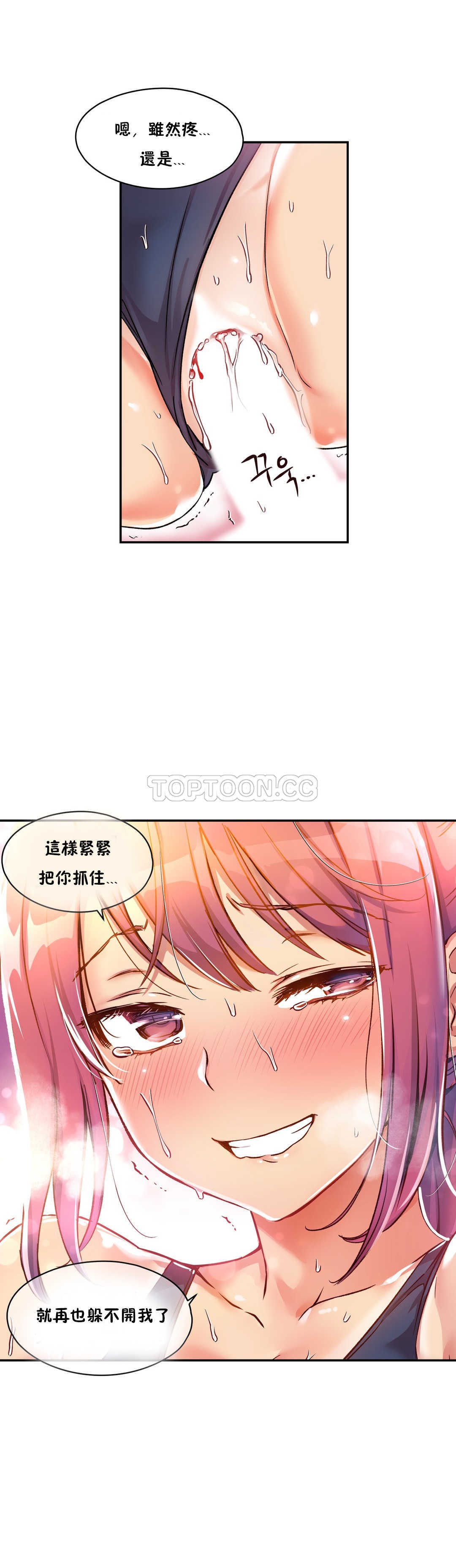 初恋豚鼠