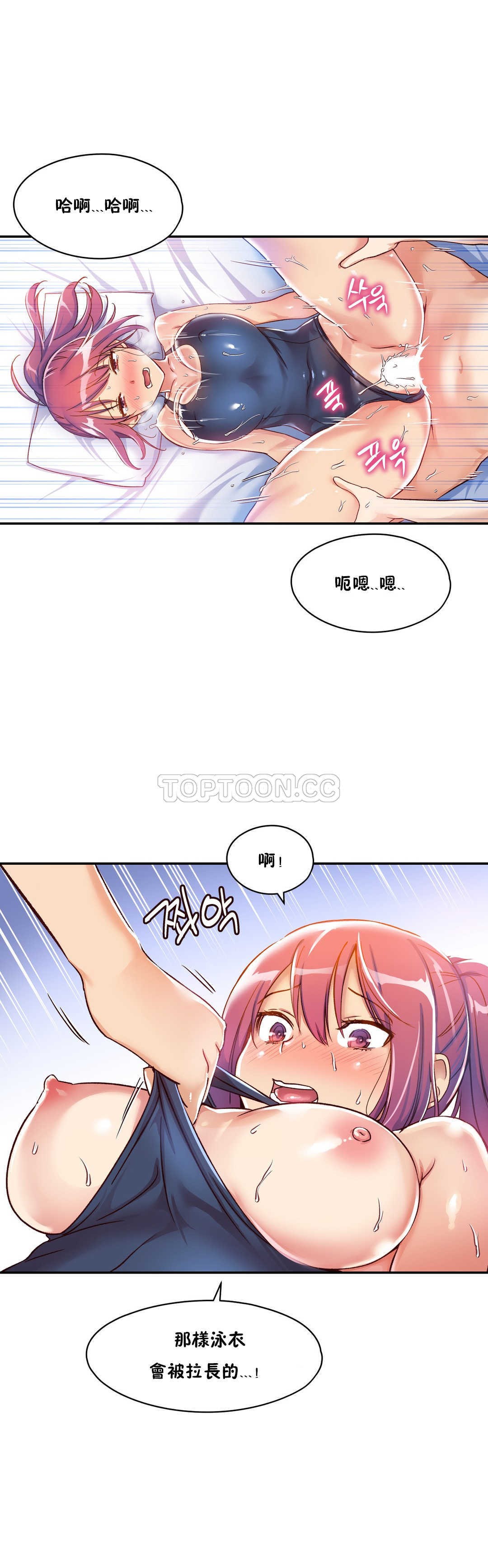 初恋豚鼠