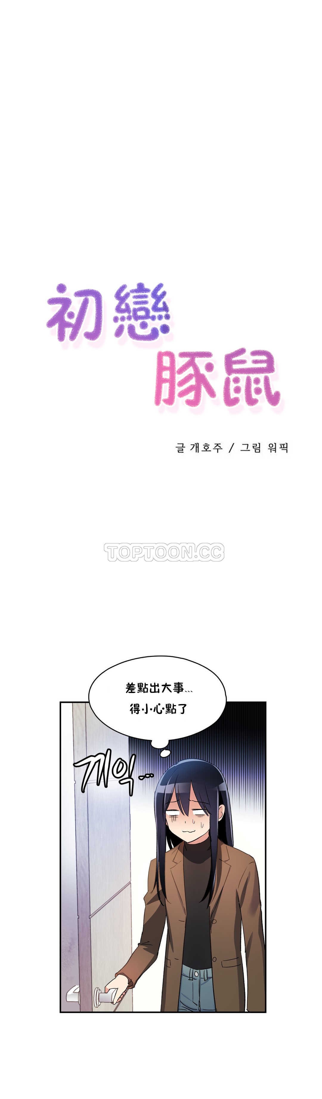 初恋豚鼠