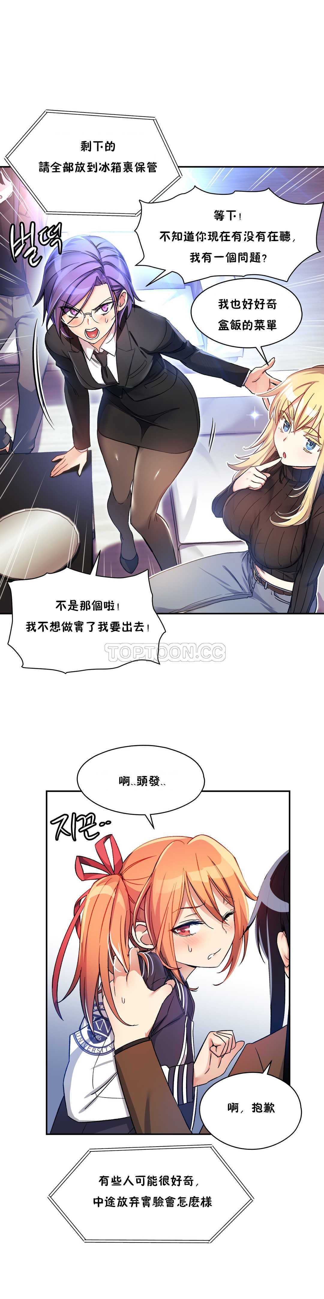 初恋豚鼠