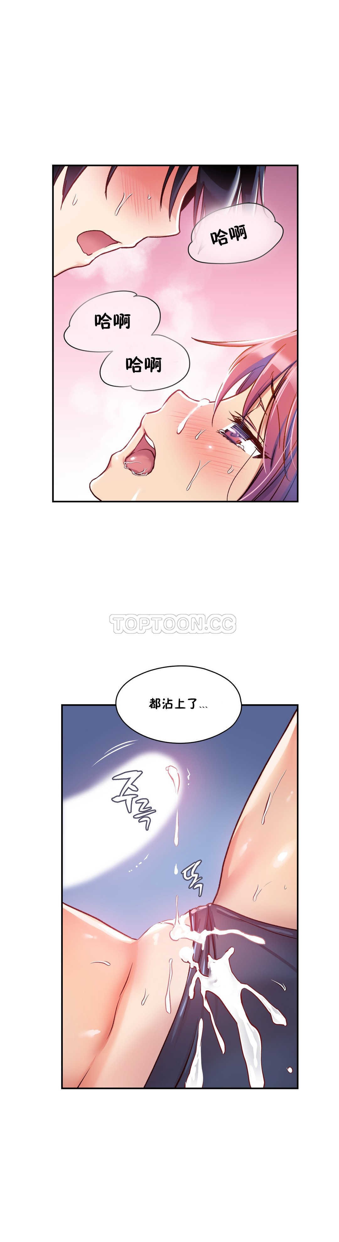 初恋豚鼠