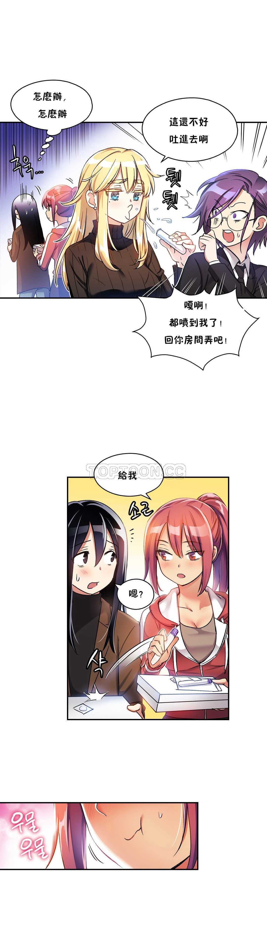 初恋豚鼠