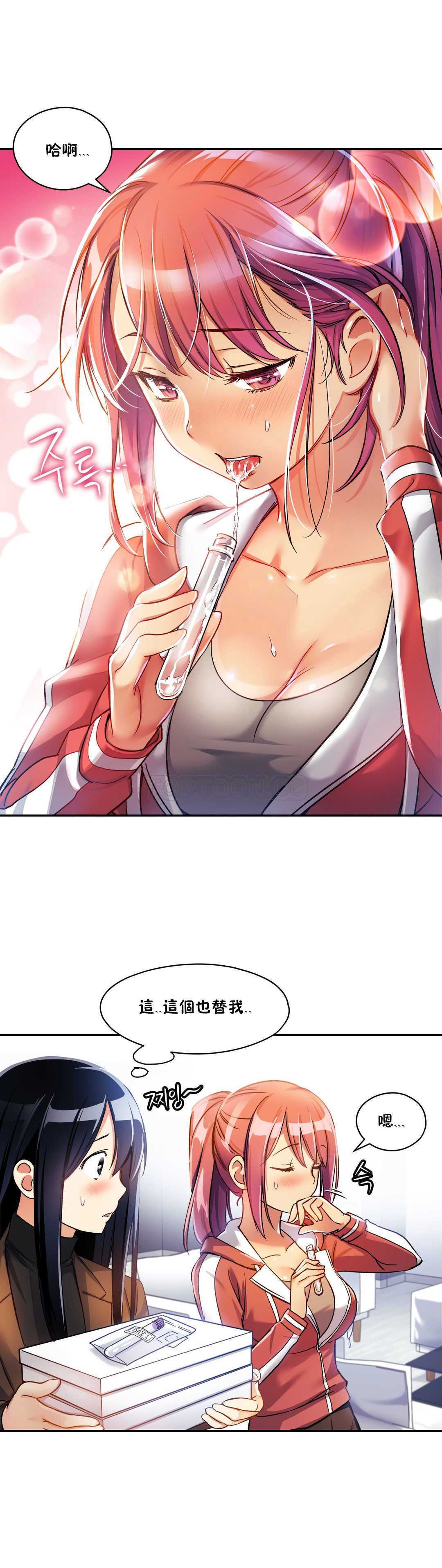 初恋豚鼠