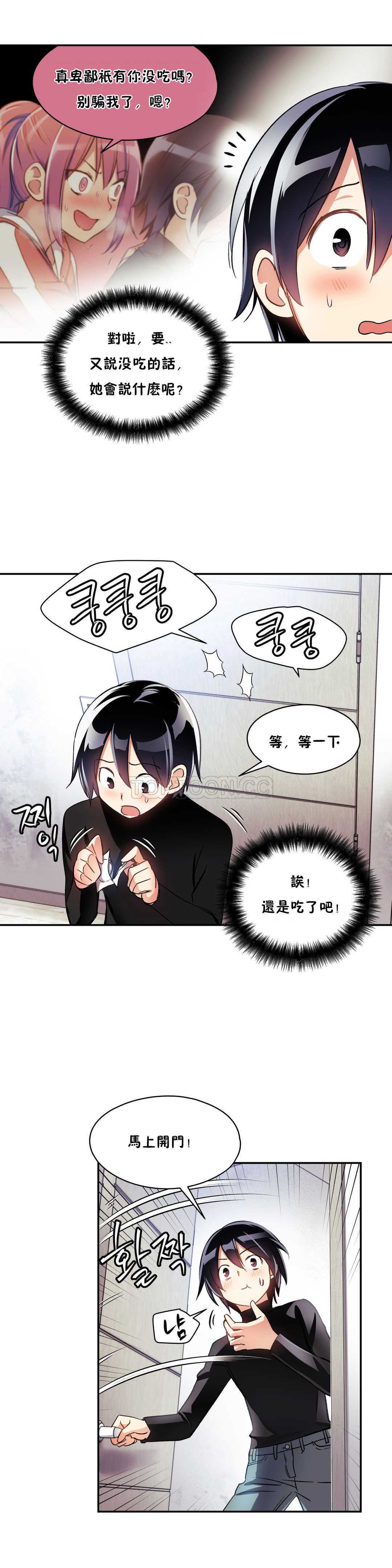 初恋豚鼠