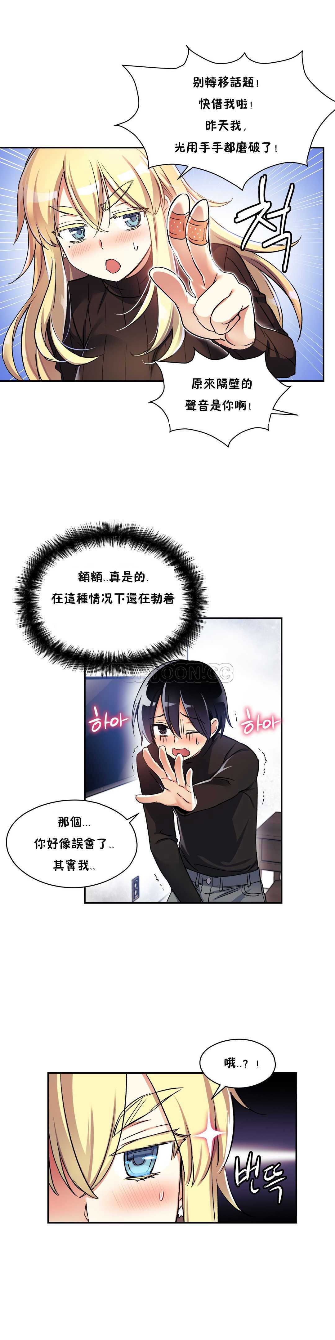 初恋豚鼠