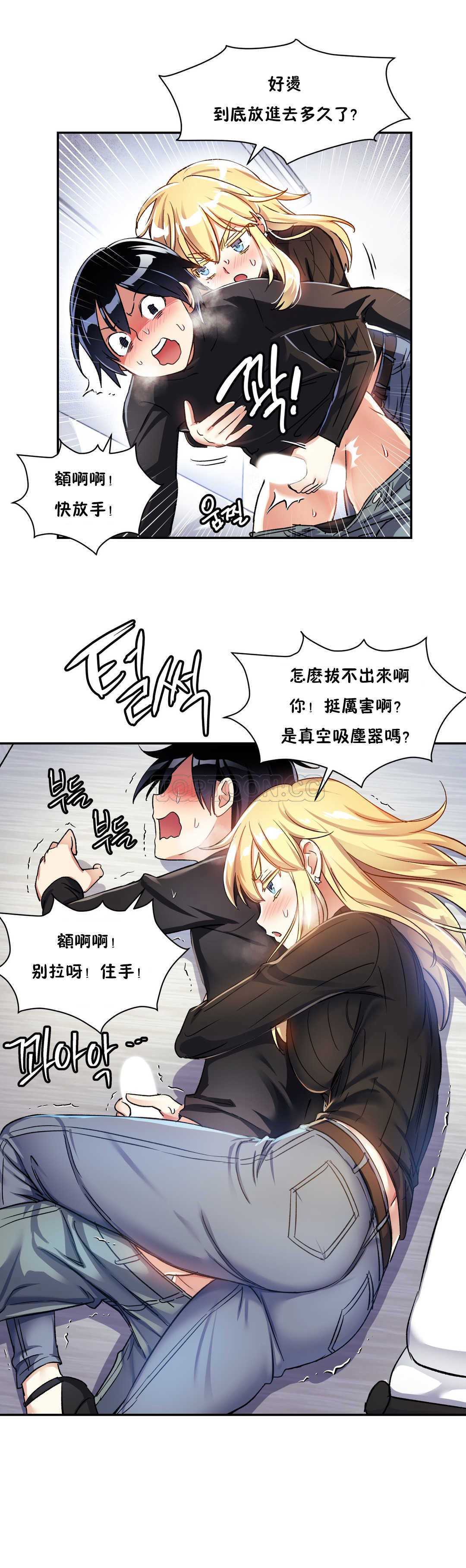初恋豚鼠