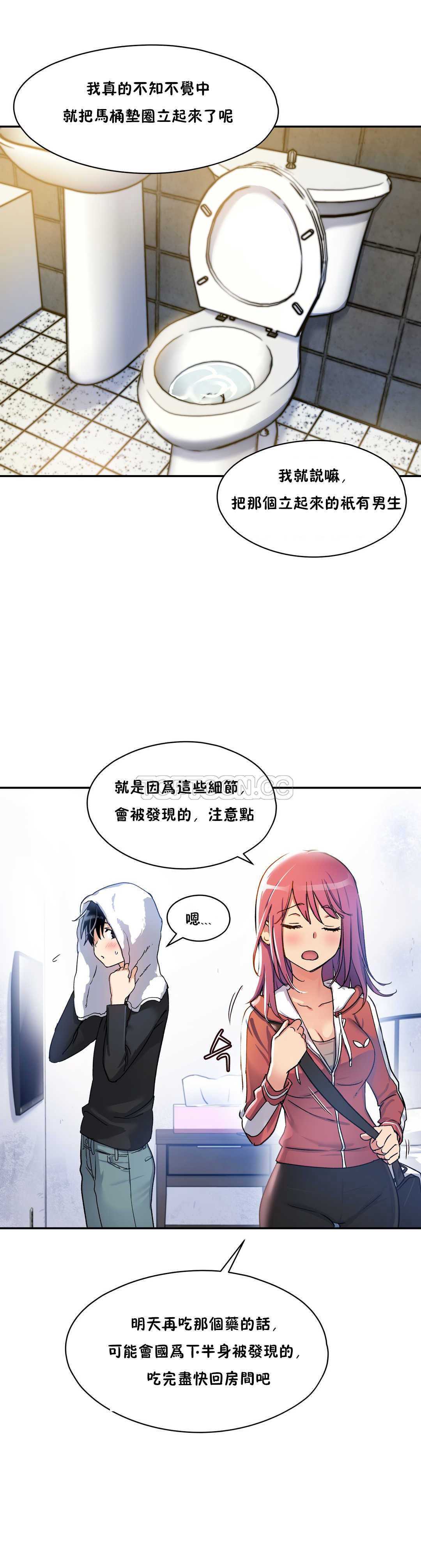 初恋豚鼠