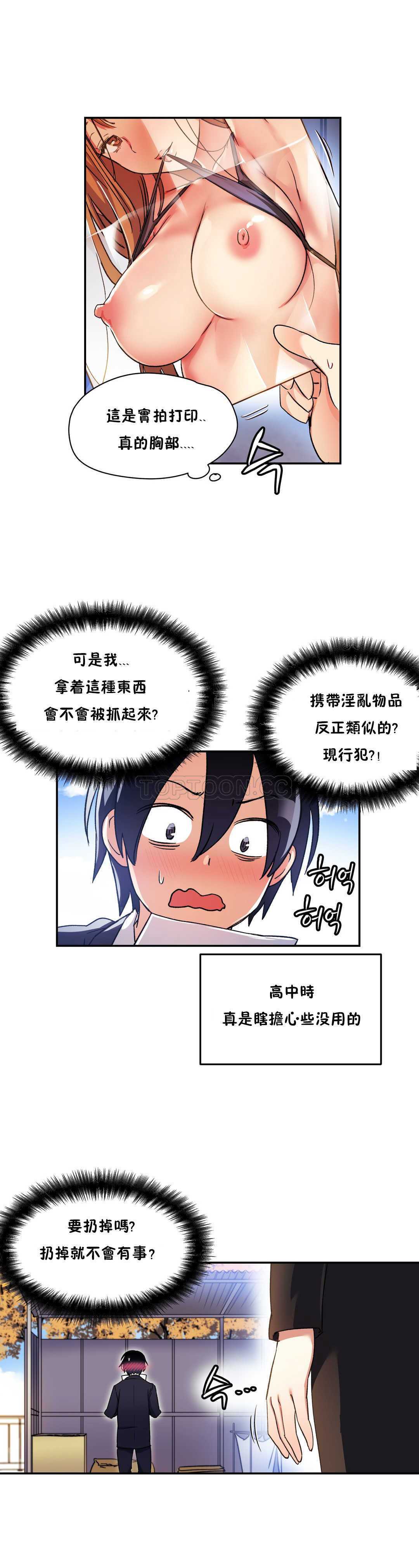 初恋豚鼠