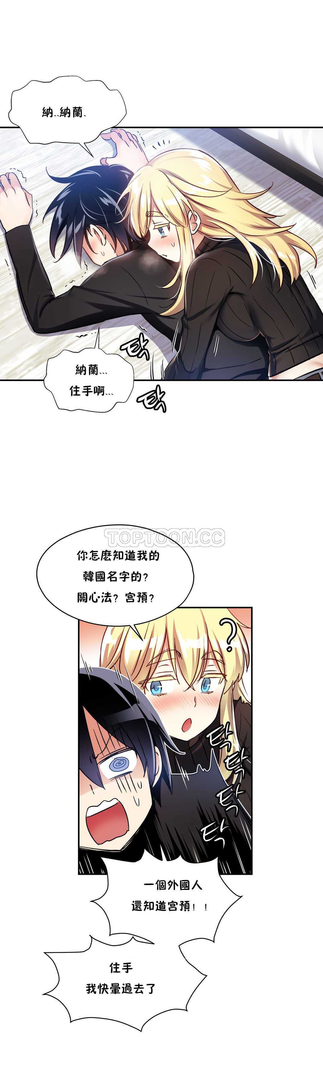 初恋豚鼠