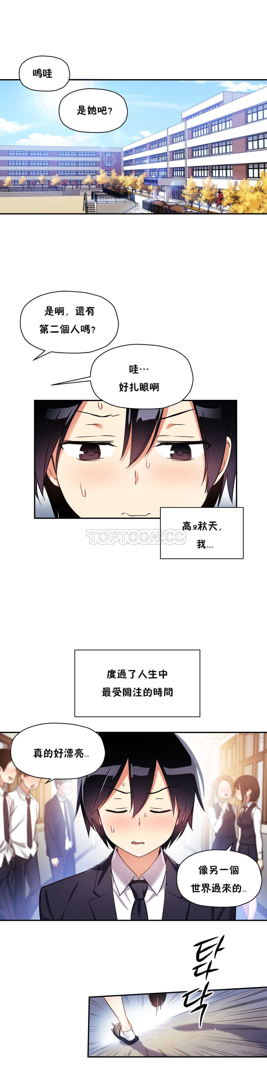 初恋豚鼠